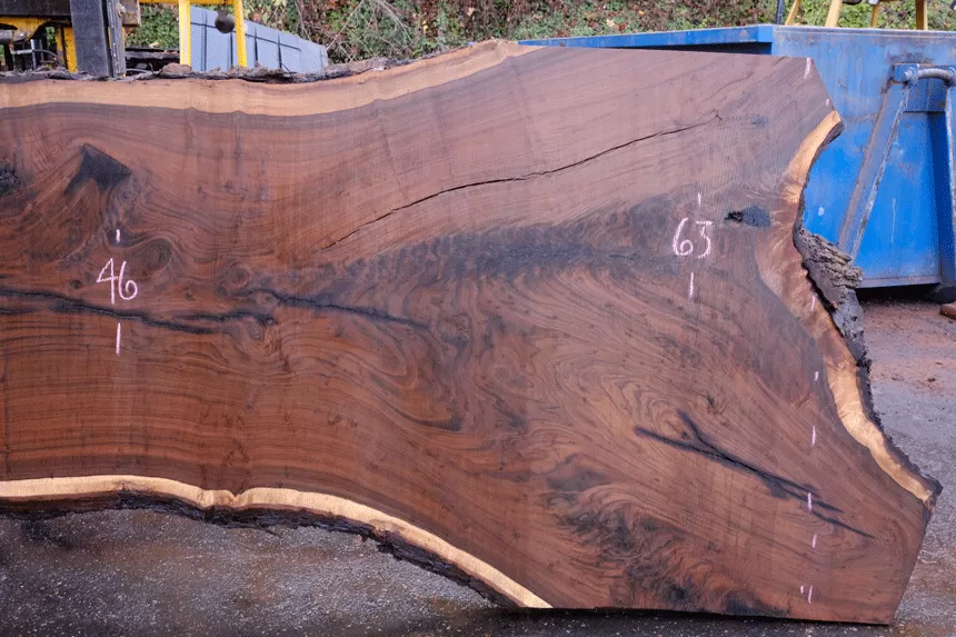 112918-09 Oregon Black Walnut Slab