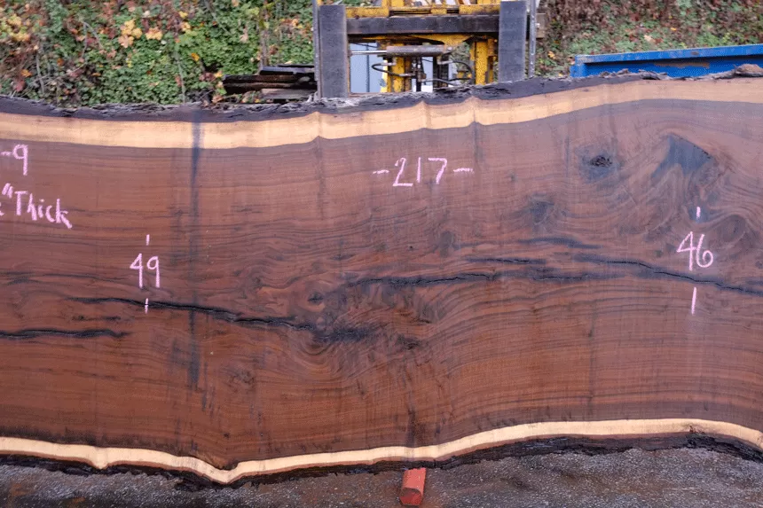 112918-09 Oregon Black Walnut Slab