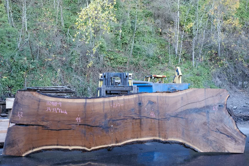 112918-09 Oregon Black Walnut Slab