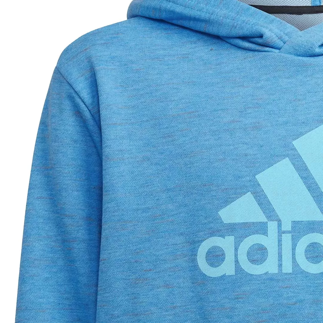 adidas - Kids' (Junior) Future Icons Badge of Sports Hoodie (HN8470)