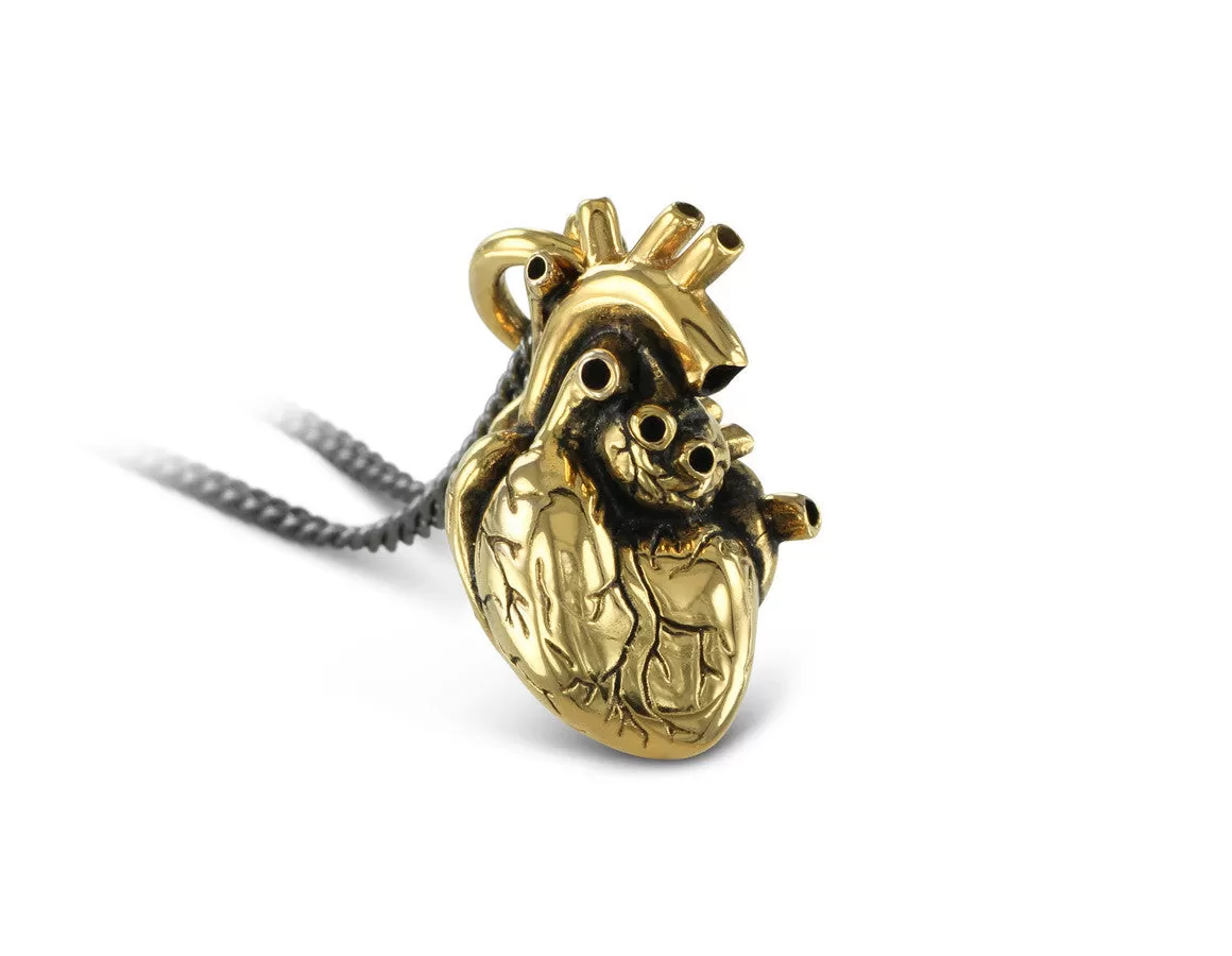 Anatomical Heart Necklace - Gold