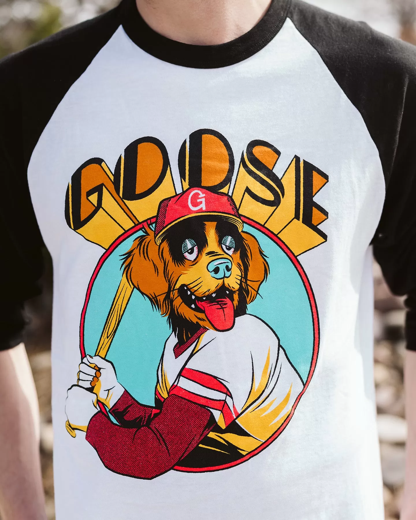 Baseball Dog Raglan