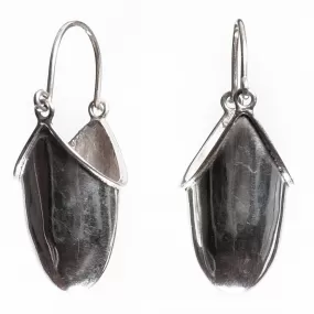 Charsa Silver Earrings