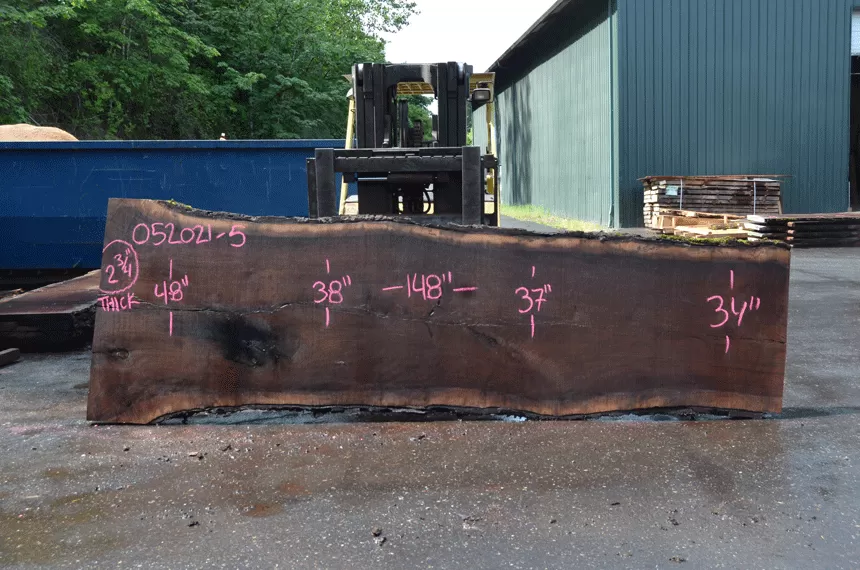 Oregon Black Walnut Slab 052021-05