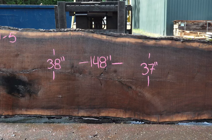 Oregon Black Walnut Slab 052021-05