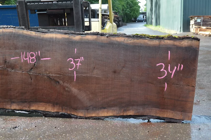 Oregon Black Walnut Slab 052021-05