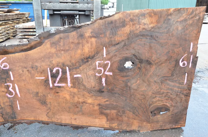 Oregon Black Walnut Slab 060920-06