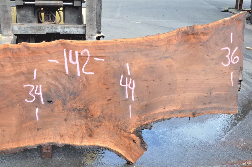 Oregon Black Walnut Slab 061720-02