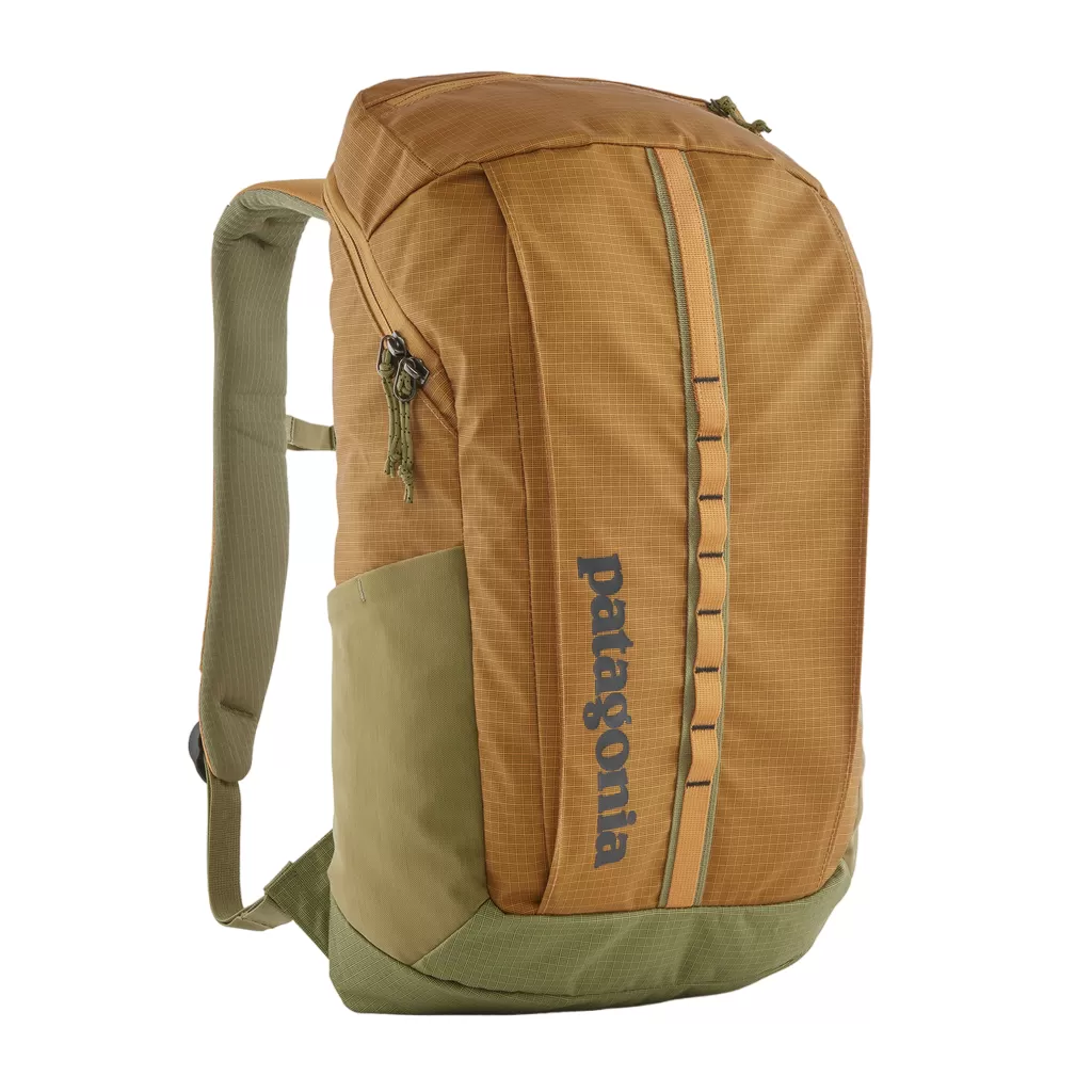 Patagonia Black Hole Pack 25L